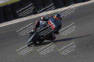 media/Oct-12-2025-CRA (Sun) [[e621380112]]/Races/Race 9/